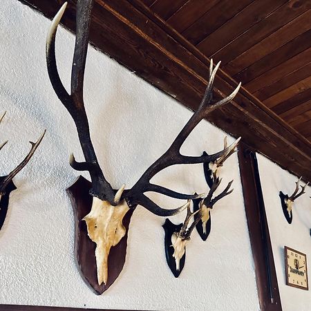 Myslivna Harrachov Exterior foto