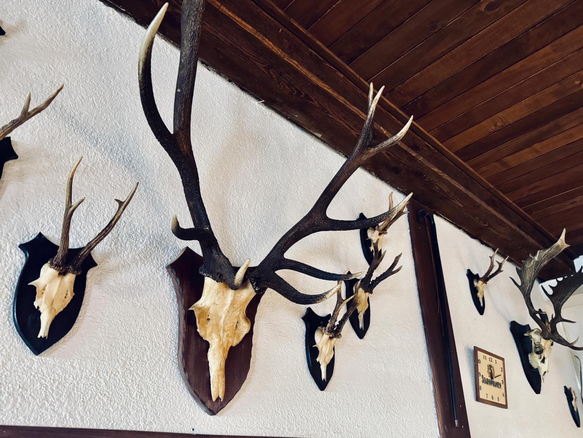 Myslivna Harrachov Exterior foto